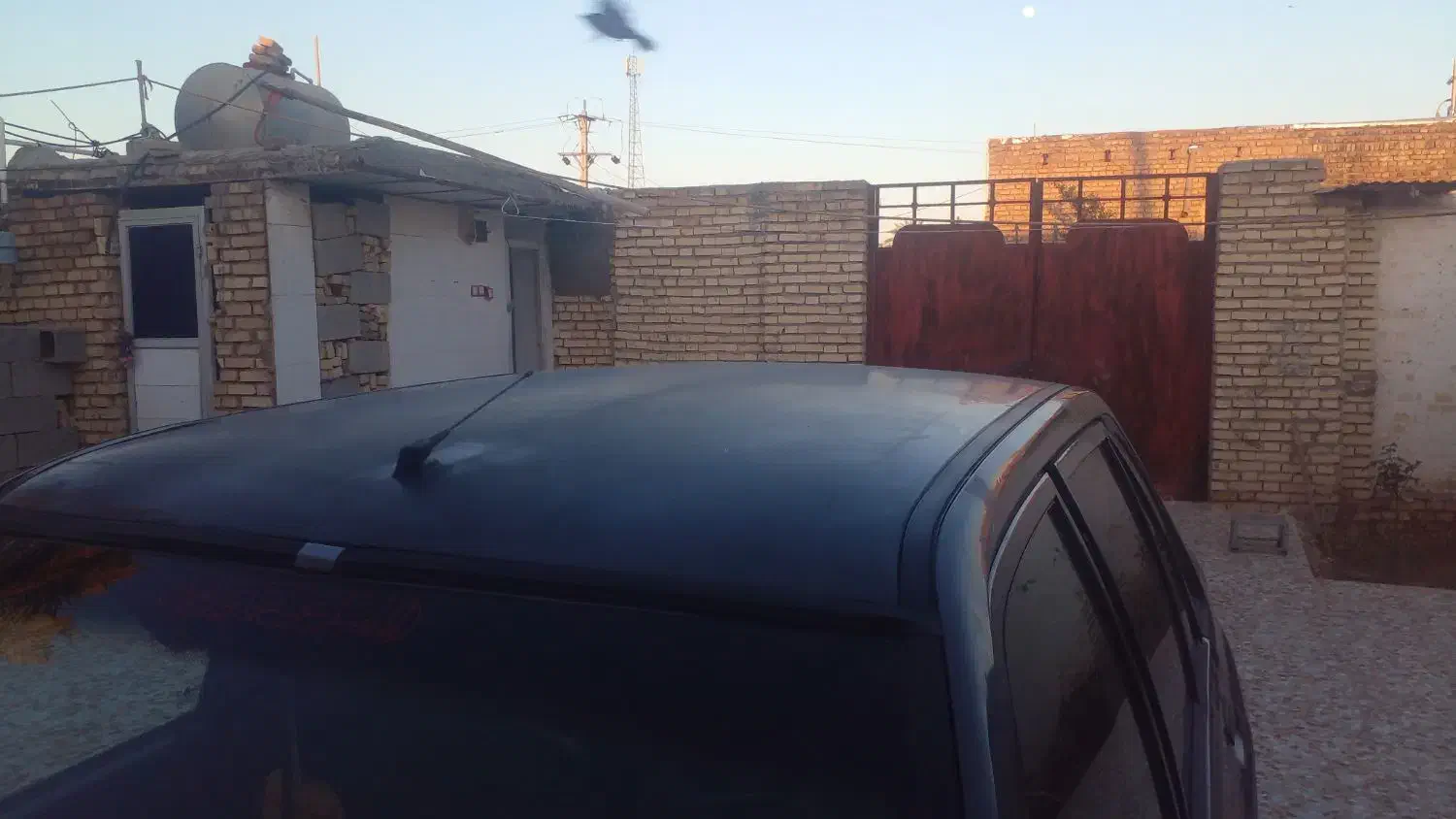 شوش|خودرو سواری و وانت|شوش, |دیوار