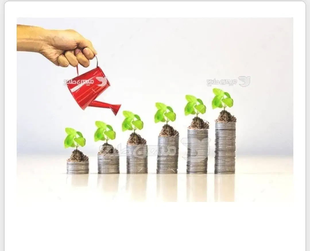 پرداخت سرمایه و وام|خدمات مالی، حسابداری، بیمه|تهران, توحید|دیوار