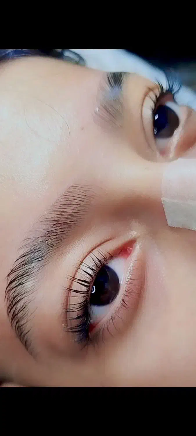 انواع خدمات مژه|خدمات آرایشگری و زیبایی|شیراز, دارالرحمه|دیوار