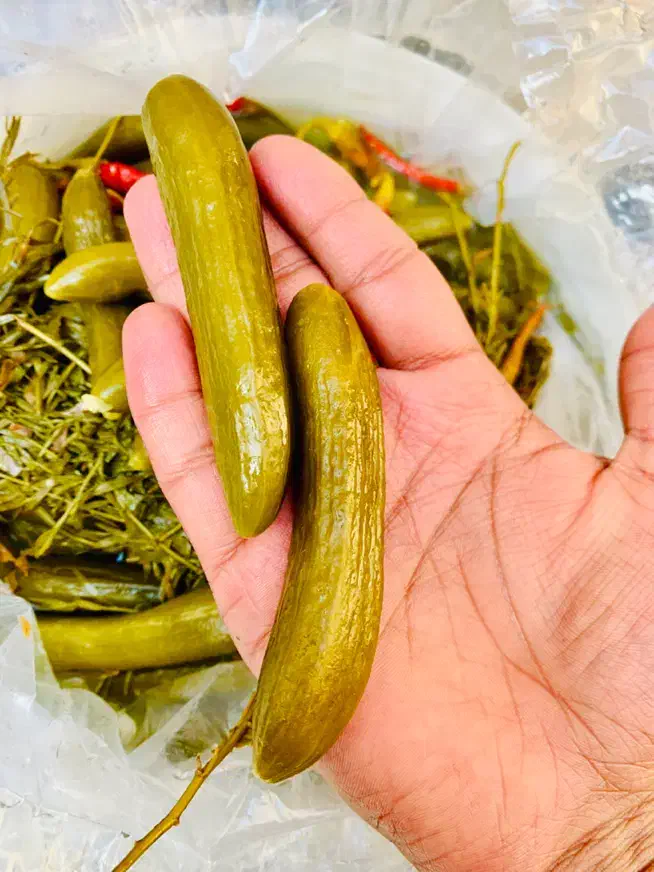 خیارشور سطلی 8 کیلو خالص|عمده‌فروشی|اهواز, شریعتی جنوبی|دیوار