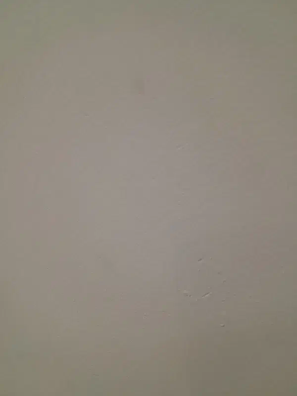 نیازمند سفید کار. یه روز سفید ساده بدنه انجام بده|خدمات پیشه و مهارت|ایوان, |دیوار