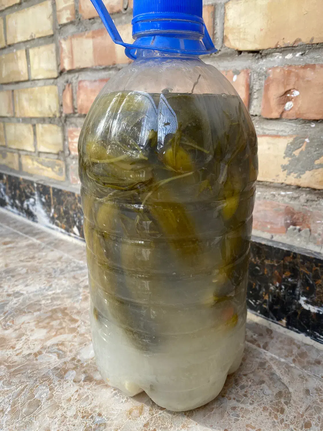 انواع ترشی|عمدهفروشی|ری, علایین|دیوار