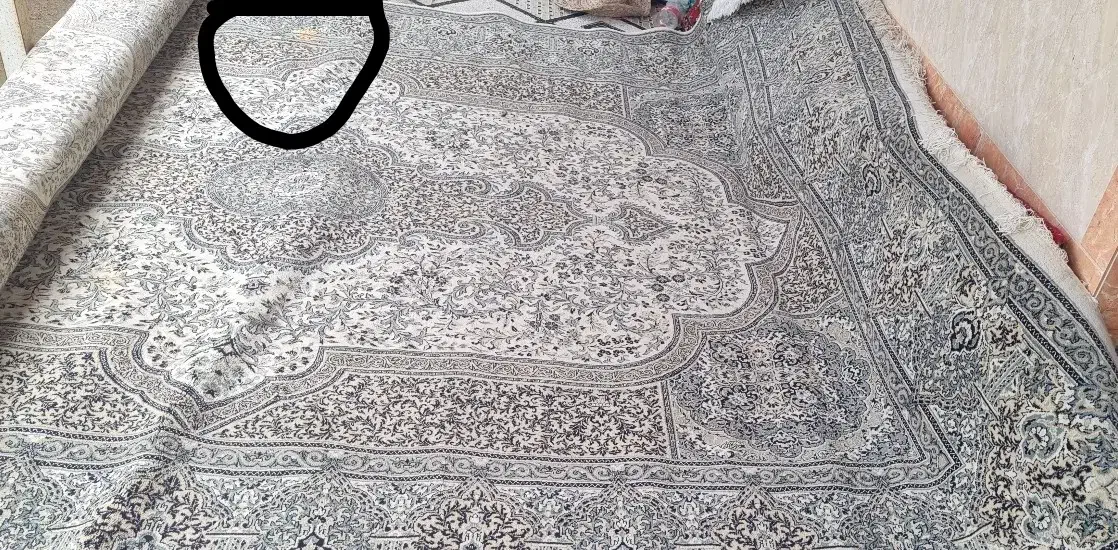 فرش 12 متری|فرش|رودسر, |دیوار