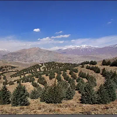 فروش زمین در تلو|فروش زمین و ملک کلنگی|تلو, |دیوار