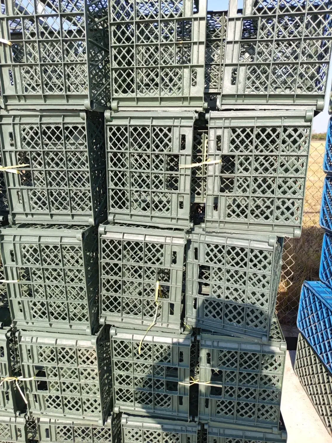 سبد پرتقال ونارنگی|حراج|ساری, |دیوار