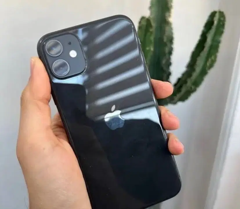 Iphone 11|موبایل|زنجان, |دیوار