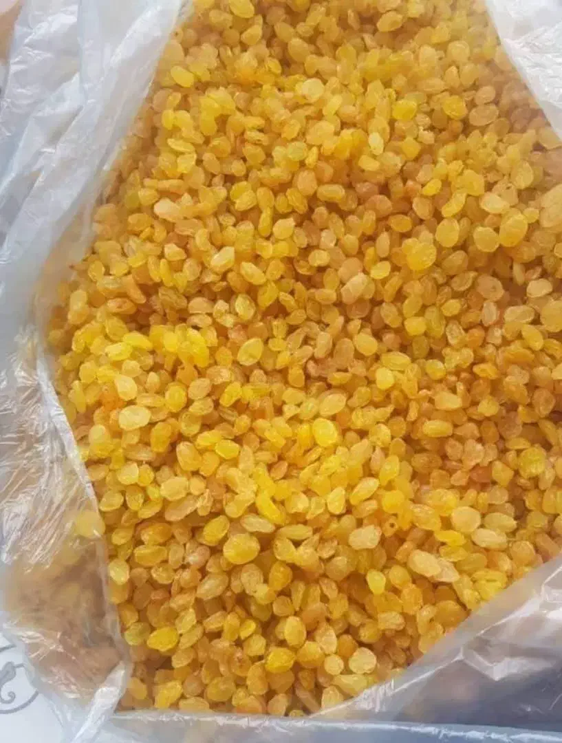 انواع کشمش بدون واسطه و تازه|خوردنی و آشامیدنی|تهران, کاج|دیوار