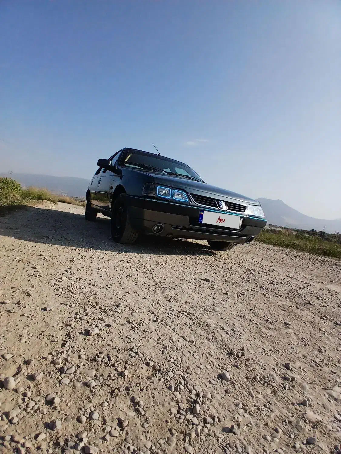 پژو سلکس دلفینی تو کرم|خودرو سواری و وانت|زابل, |دیوار