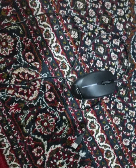 سیستم تمیز|قطعات و لوازم جانبی رایانه|سنندج, |دیوار