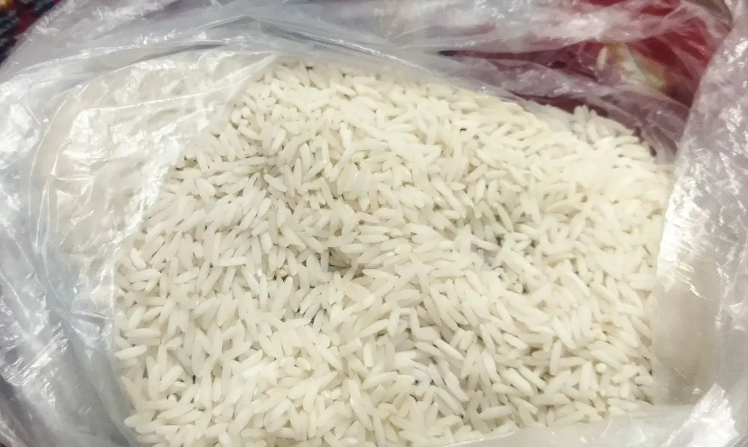برنج هاشمی ارگانیک|خوردنی و آشامیدنی|رشت, پیرکلاچای|دیوار