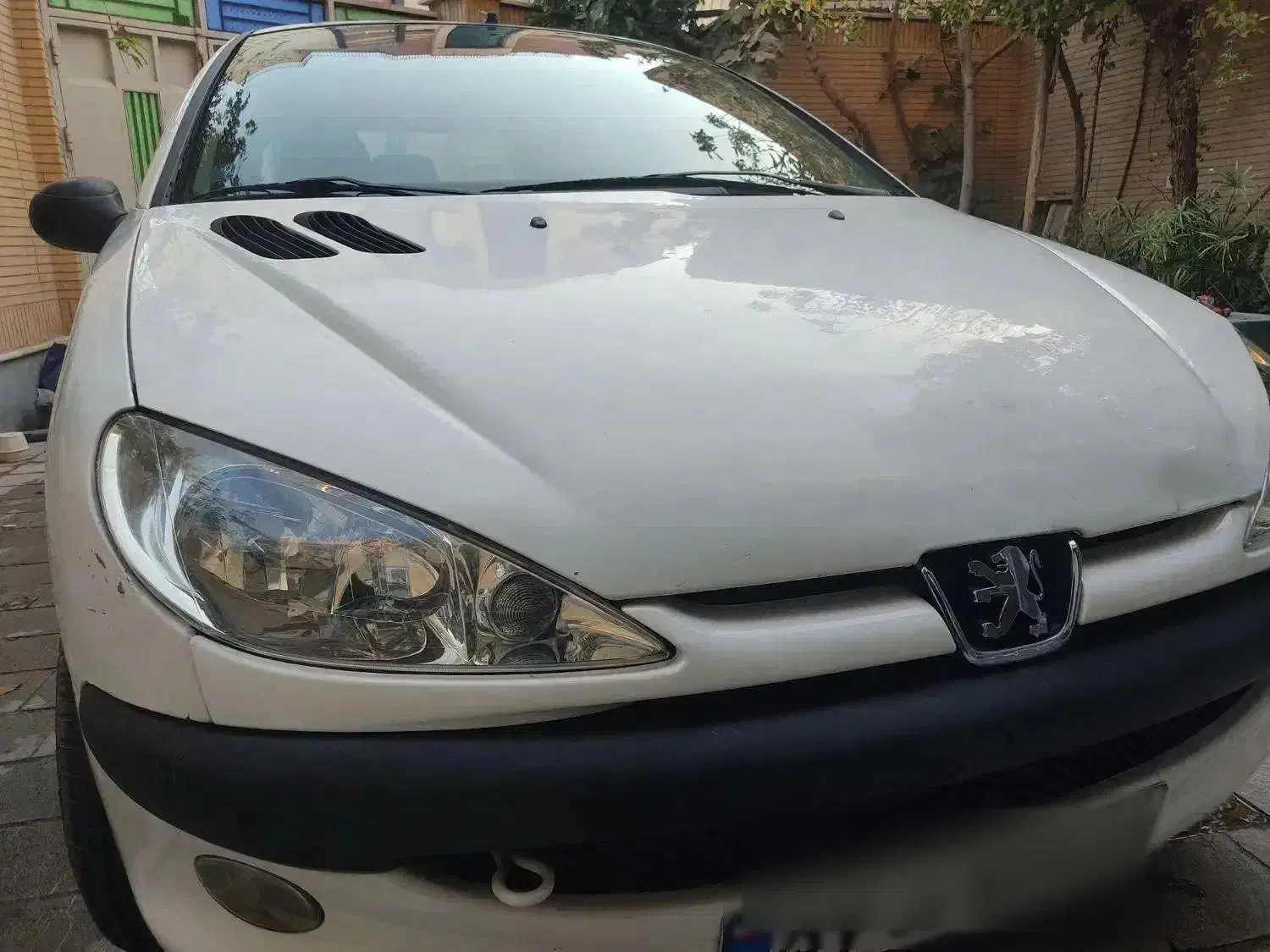 پژو۲۰۶تیپ۲مدل۱۳۹۵|خودرو سواری و وانت|اصفهان, خرم|دیوار