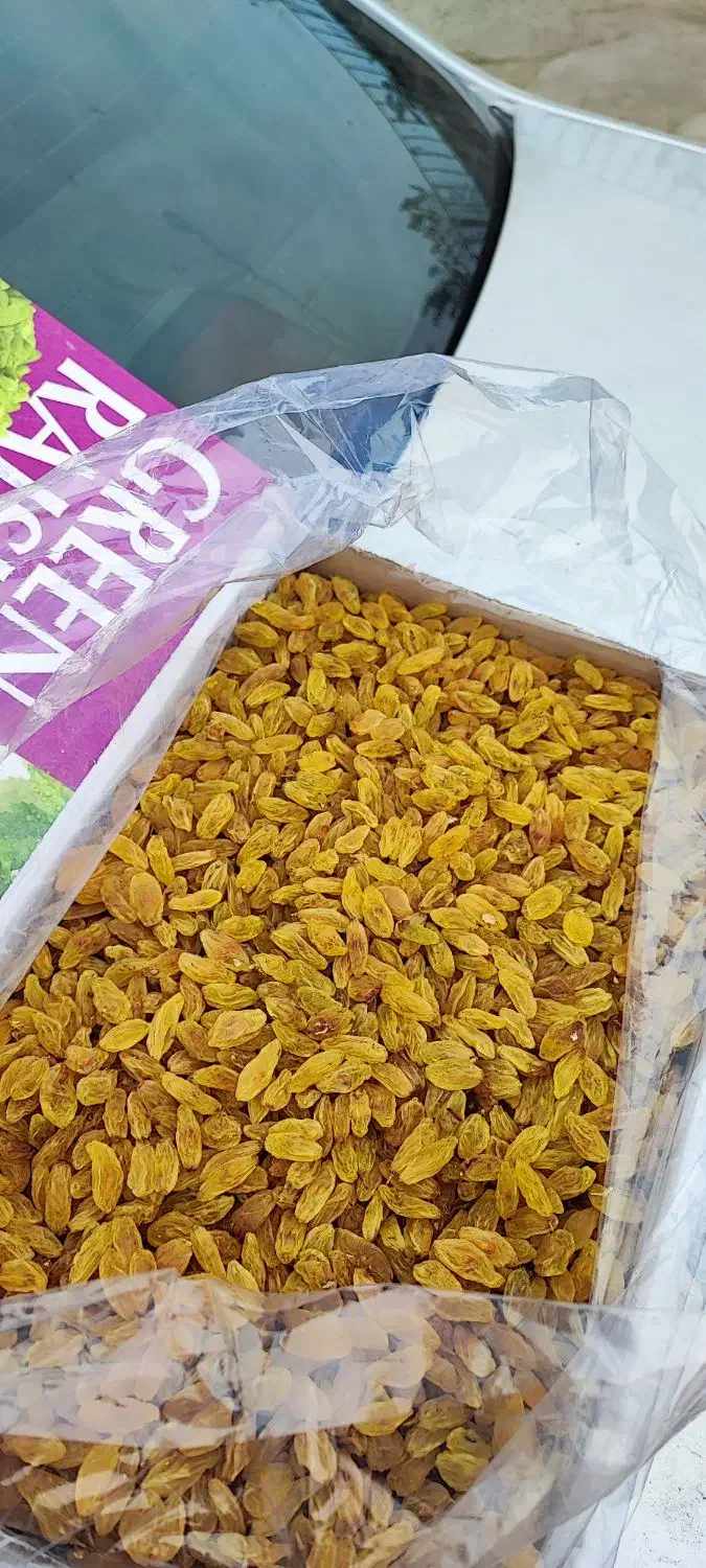 کشمش زرد قلمی سوپر لوکس کاشمر|خوردنی و آشامیدنی|کاشمر, |دیوار