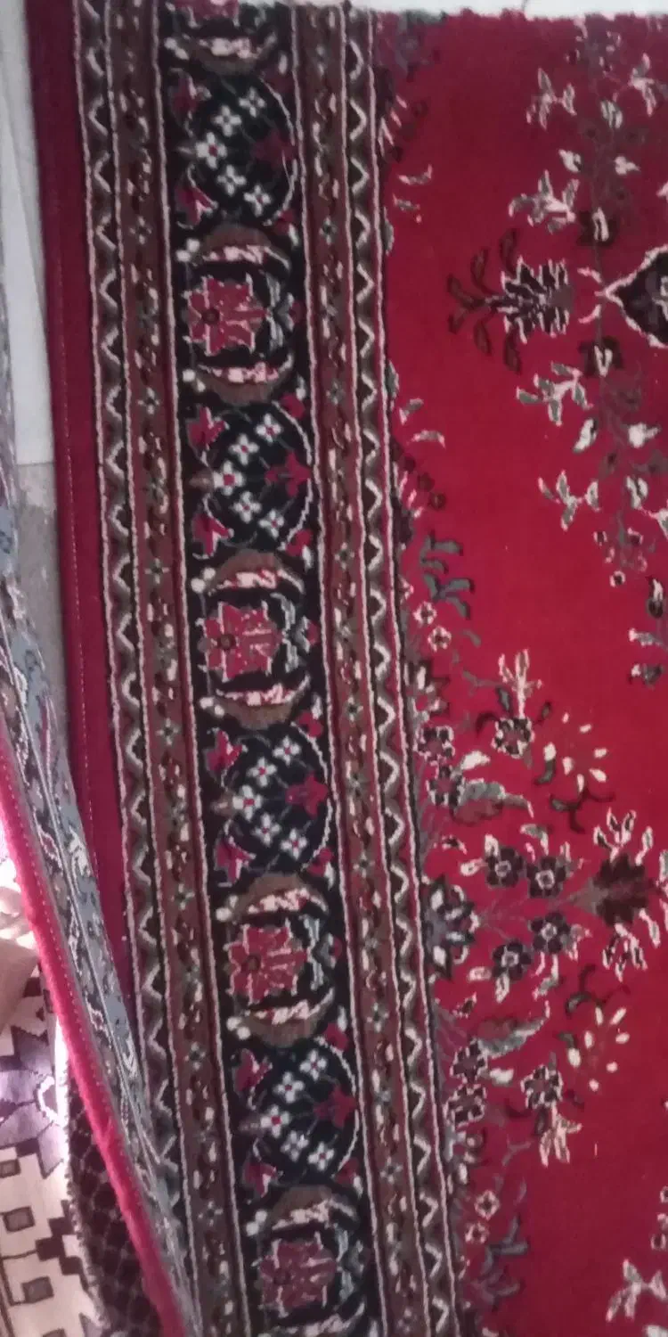 کناره قالی|فرش|تربت‌حیدریه, فتح المبین|دیوار