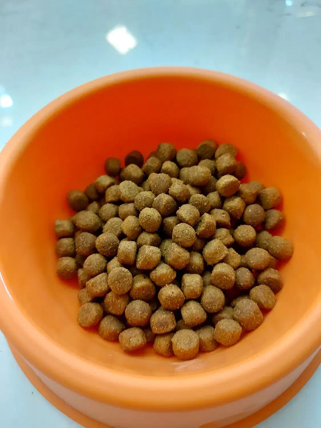 غذای خشک گربه عقیم شده رفلکس|لوازم جانبی حیوانات|اصفهان, باغ زرشک|دیوار