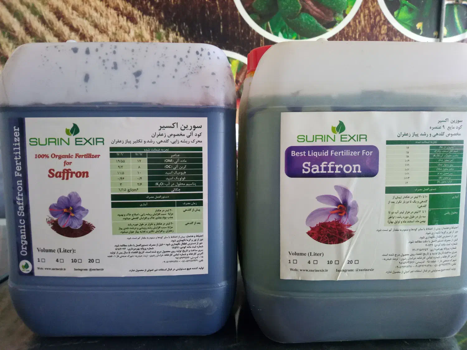 کود آب بعد گلدهی زعفران|خدمات باغبانی و درختکاری|تربتحیدریه, پایانه مسافربری تربت حیدریه|دیوار