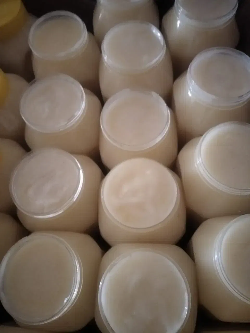 روغن خش|خوردنی و آشامیدنی|بهبهان, |دیوار