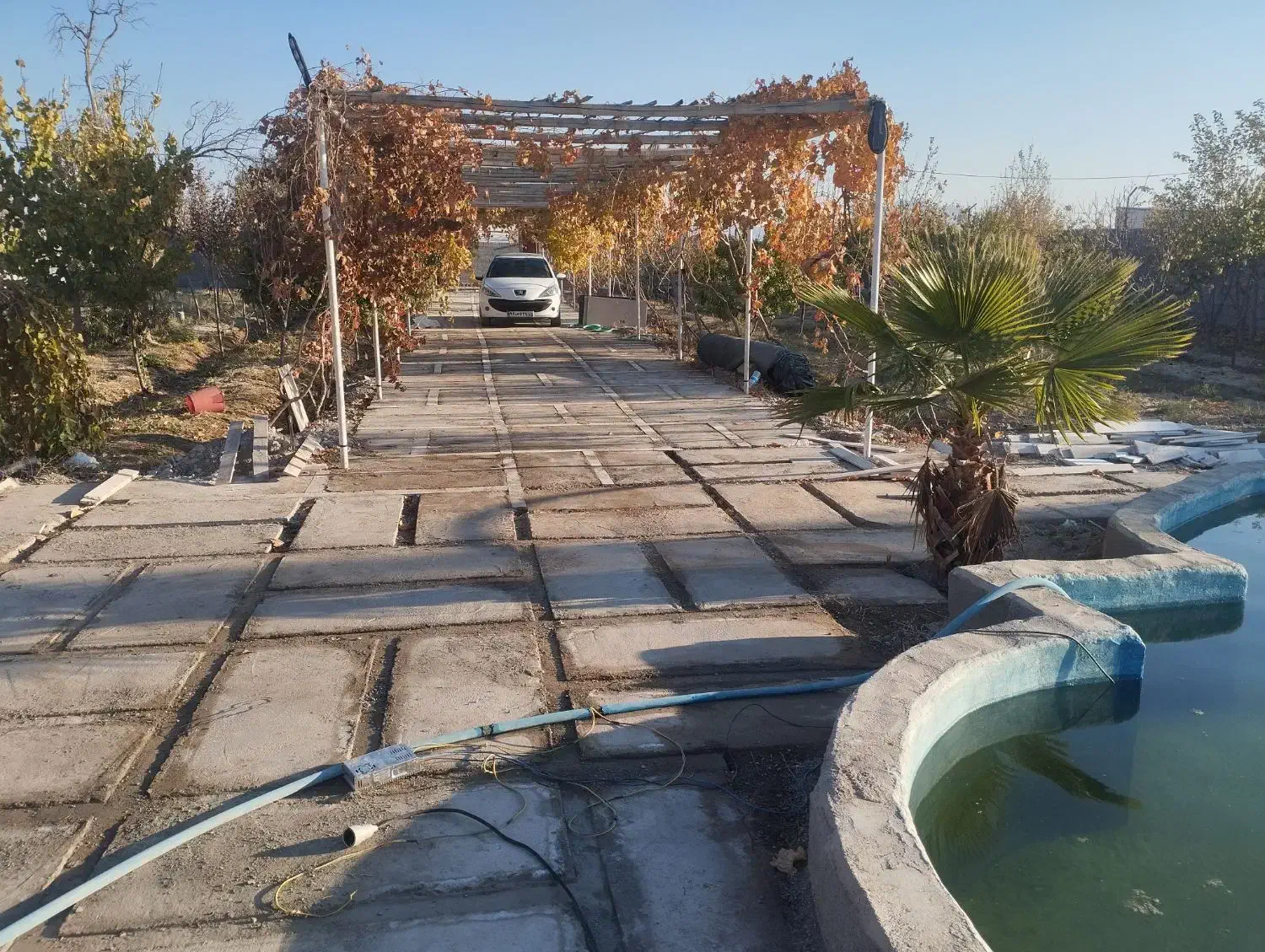 بنایی صفر تا صد|خدمات پیشه و مهارت|سیرجان, |دیوار