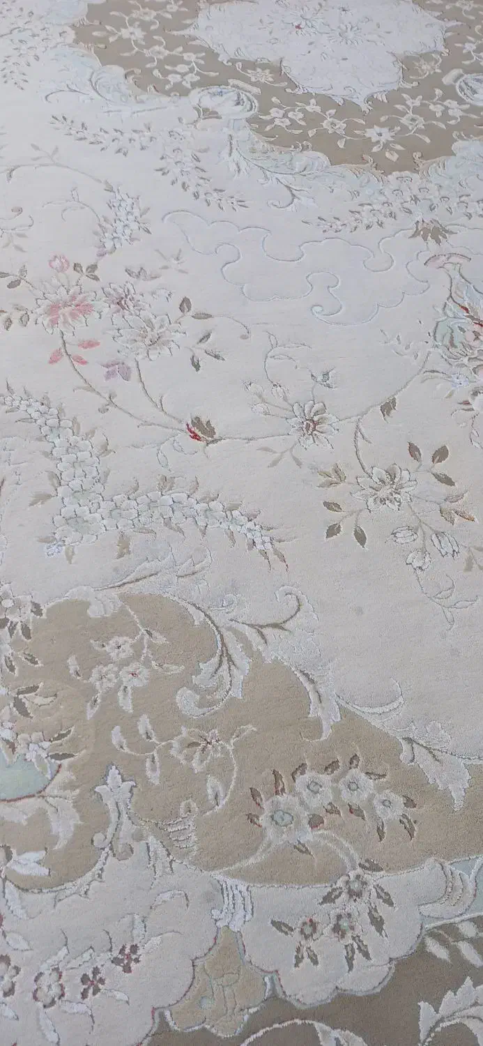 قالی ۱۲متری تمیزوسالم بدون کوچکترین پارگی یاسوختگی|فرش|تربت جام, میان جام|دیوار