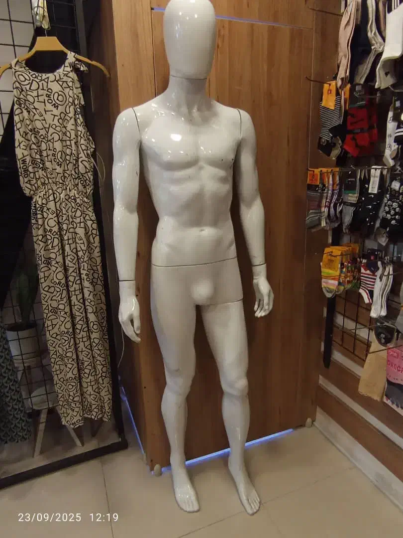 مانکن|فروشگاه و مغازه|گرگان, |دیوار