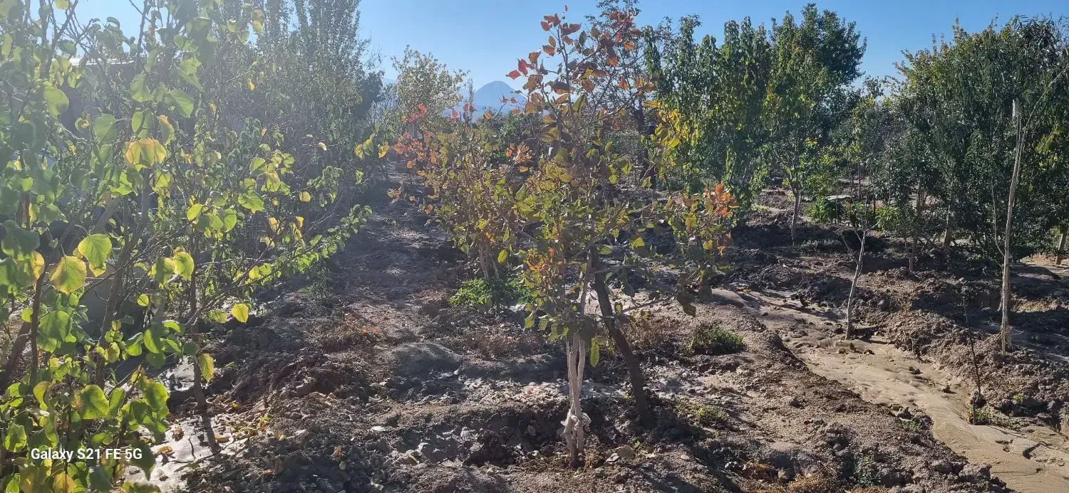 باغ کاملا دنج|فروش خانه و ویلا|یامچی, |دیوار