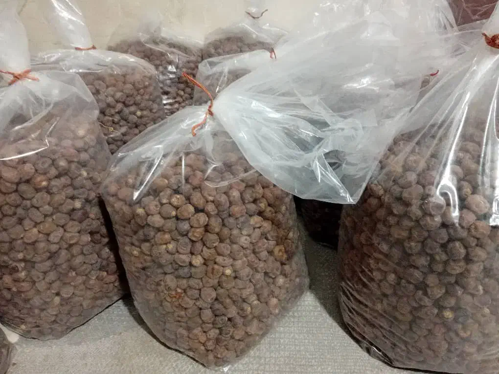 خرما بصورت عمده و کیلوی|خوردنی و آشامیدنی|قم, جمکران|دیوار