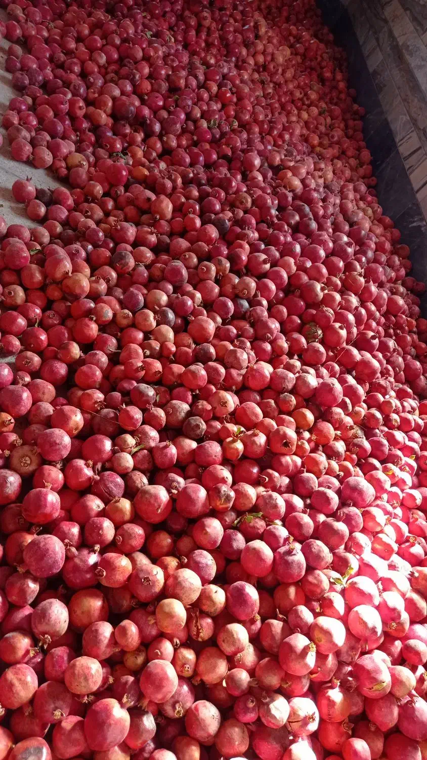 انار ساوه|خوردنی و آشامیدنی|جعفرآباد, |دیوار