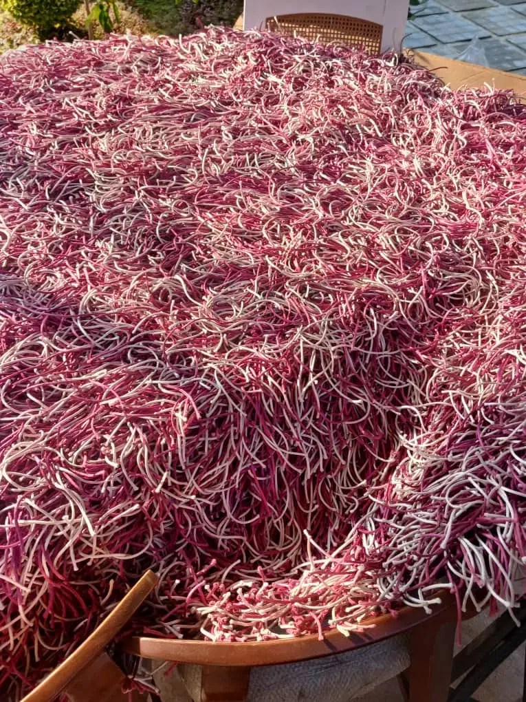 فرش ماشینی|فرش|نوشهر, |دیوار