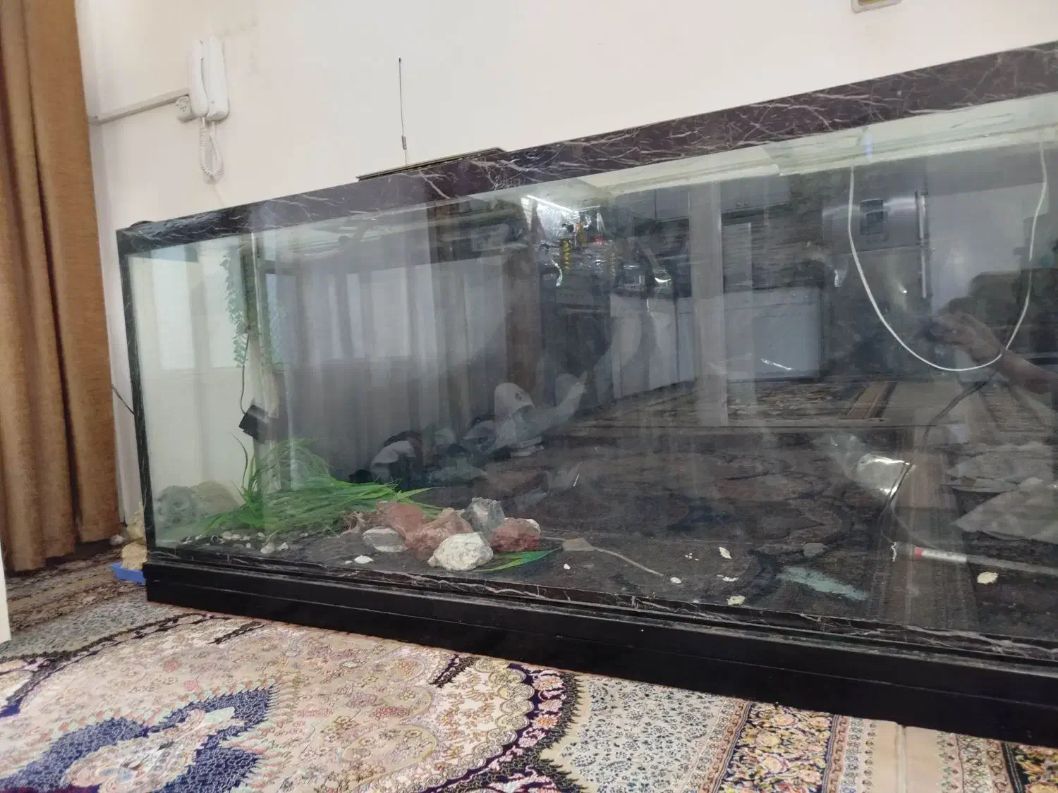 آکواریوم|ماهی|خرمآباد, |دیوار