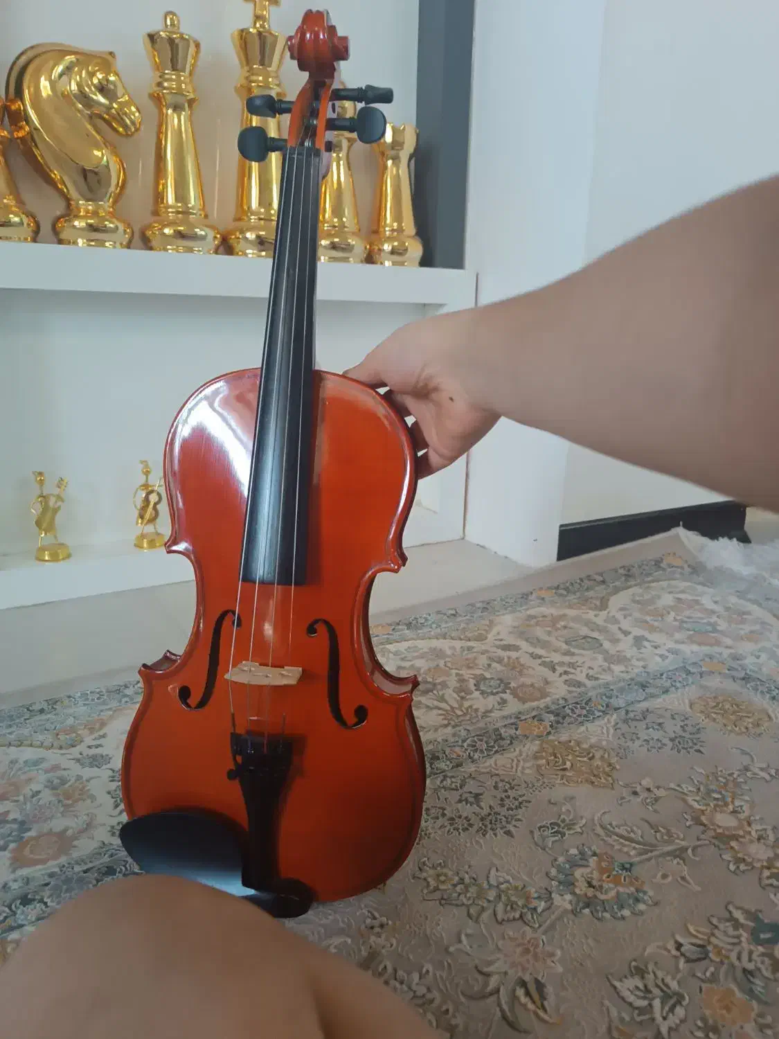 ویولن 3/4 کاملا نو مدلAMATI|ویولن|اهواز, فرهنگ شهر|دیوار
