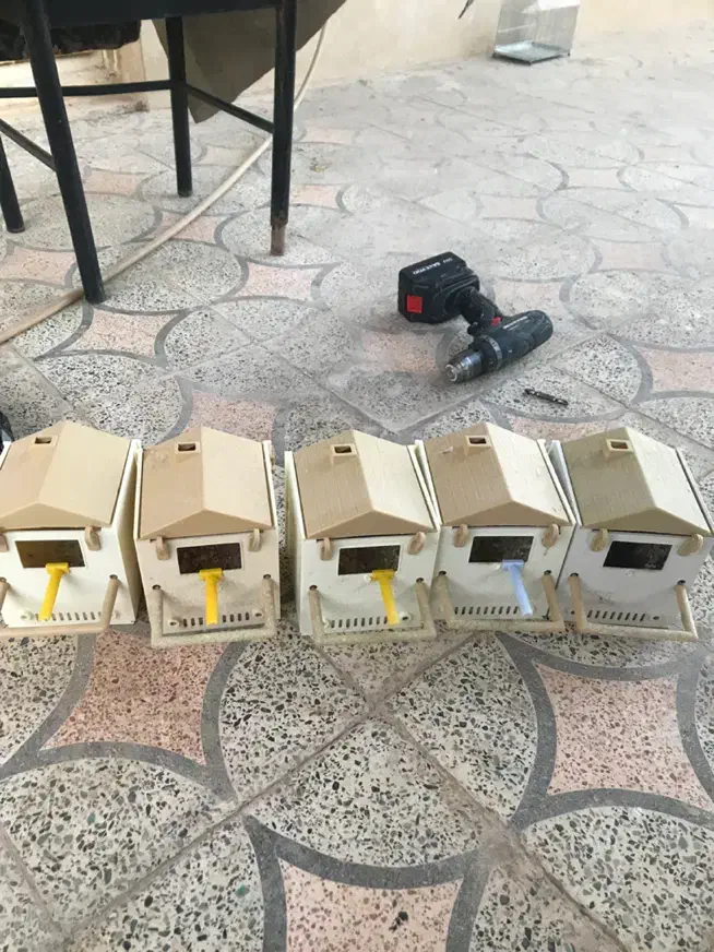 چال جاوا چال فنچ|لوازم جانبی حیوانات|مرودشت, فرهنگ|دیوار