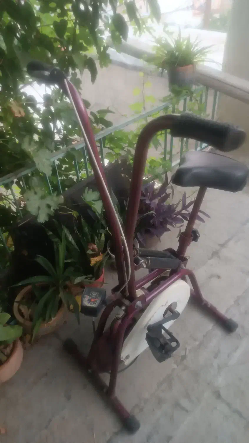 دوچرخه ثابت|دوچرخه، اسکیت، اسکوتر|معصومیه, |دیوار