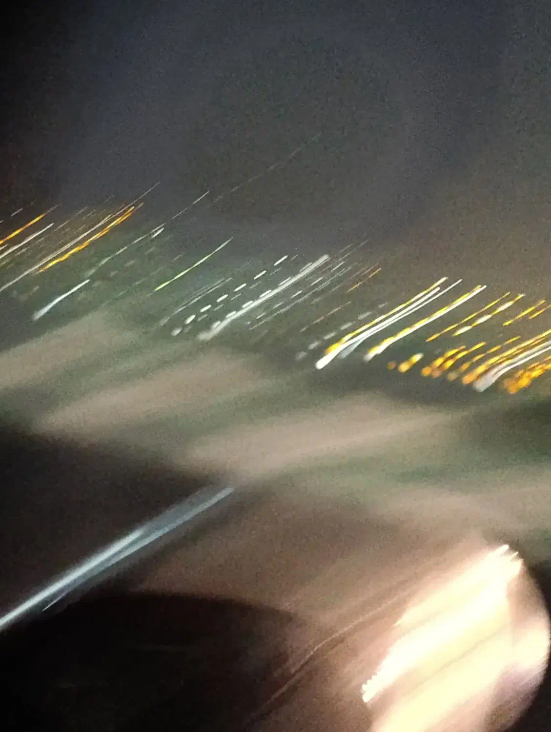 غذای خانگی پت|لوازم جانبی حیوانات|تهران, توحید|دیوار