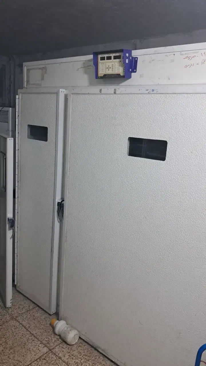 دستگاه جوجه کشی جویبار|لوازم جانبی حیوانات|اردبیل, |دیوار