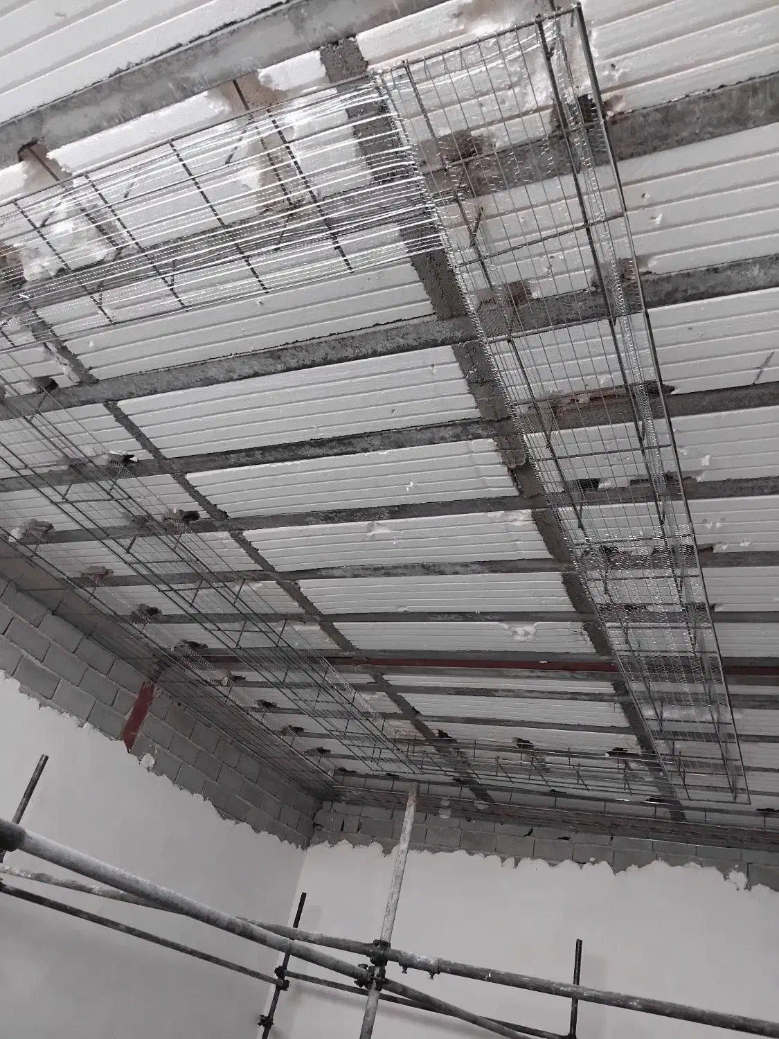 رابیتس کاری راویز کاری رابیز کاری|خدمات پیشه و مهارت|تهران, تهرانسر غربی|دیوار