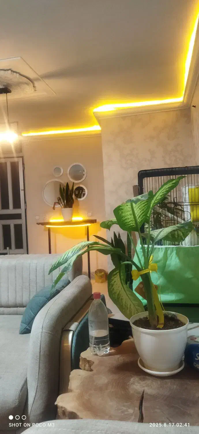 اجاره واحد مسکونی ویلایی حیاط دار|اجارهٔ خانه و ویلا|شاهرود, |دیوار