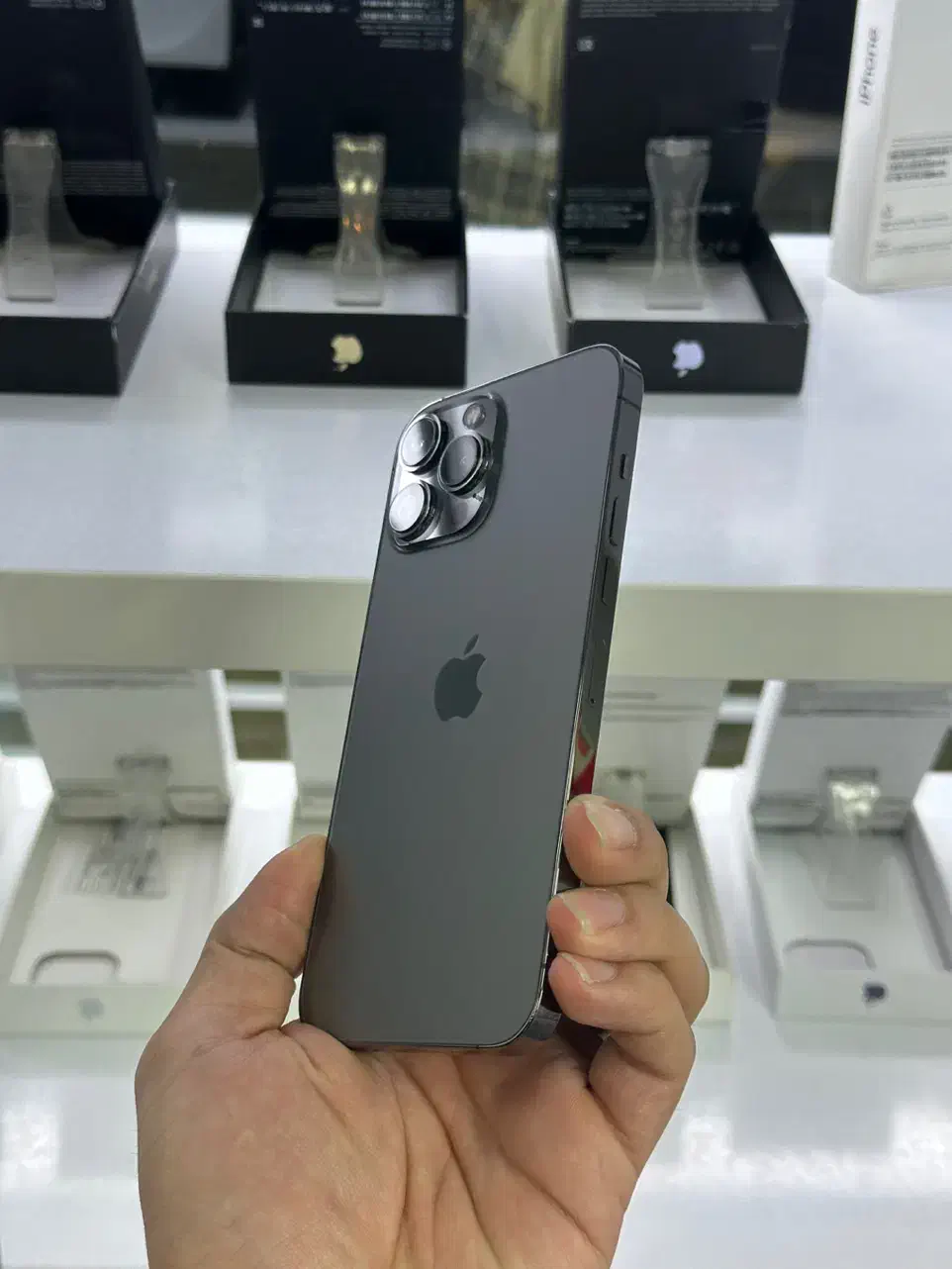 13promax 256 LLA|موبایل|پرند, فاز ۲|دیوار