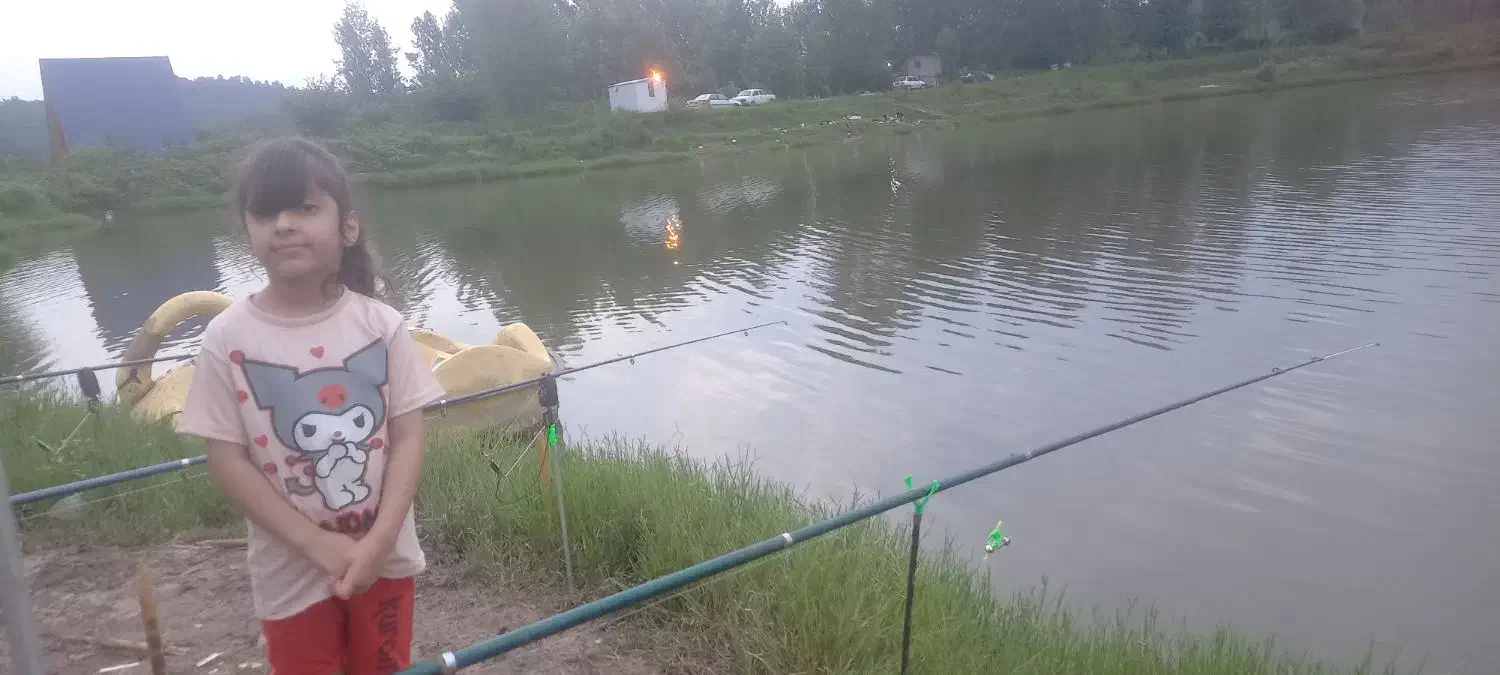 ۴ عدد چوب چرخ GWاصلی|ماهیگیری|ری, شهادت|دیوار