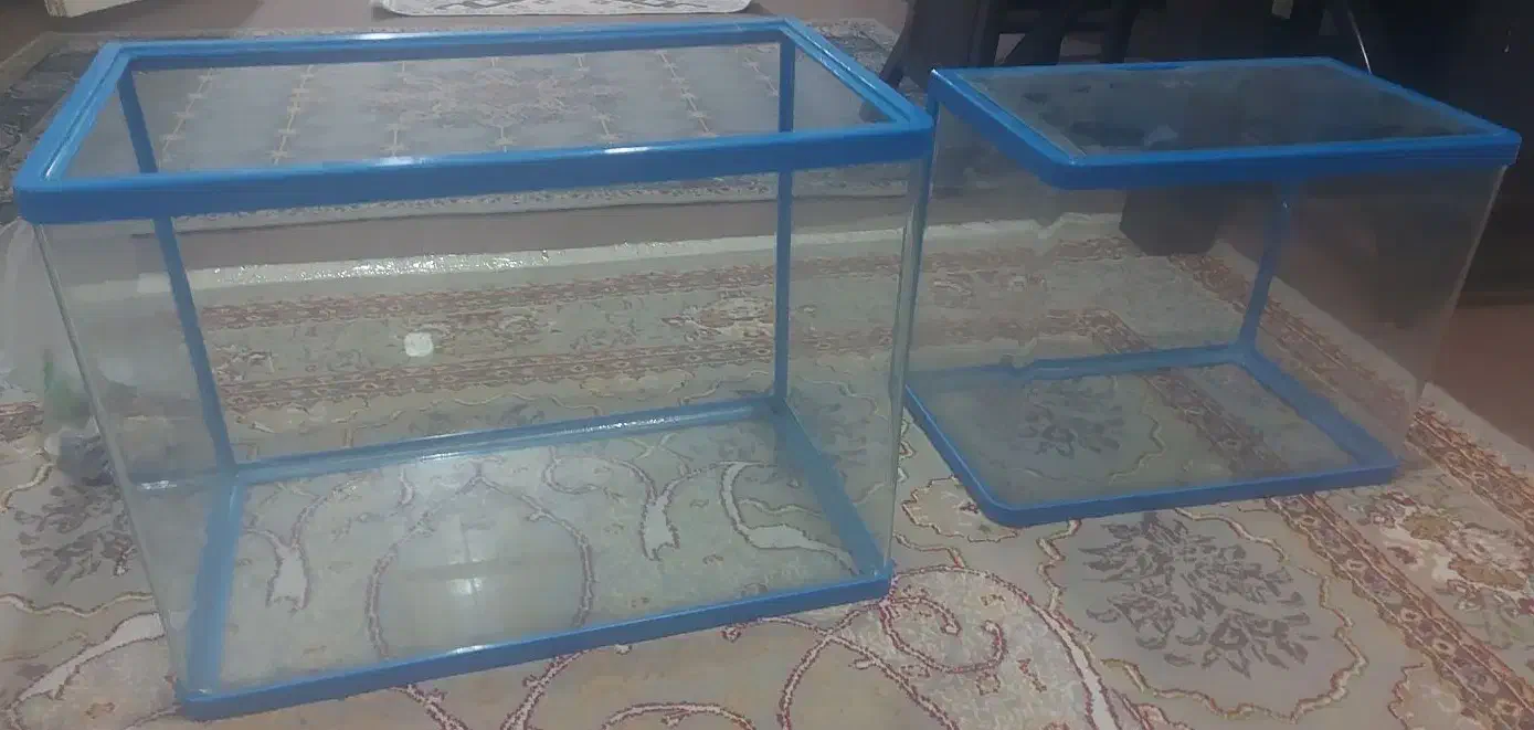 آکواریوم ماهی|ماهی|شاهدشهر, |دیوار