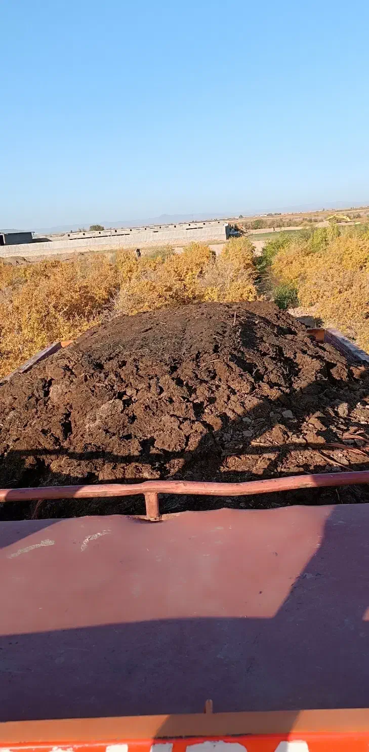 کود گاوی خالص (ده تن)|خدمات باغبانی و درختکاری|ساوه, |دیوار