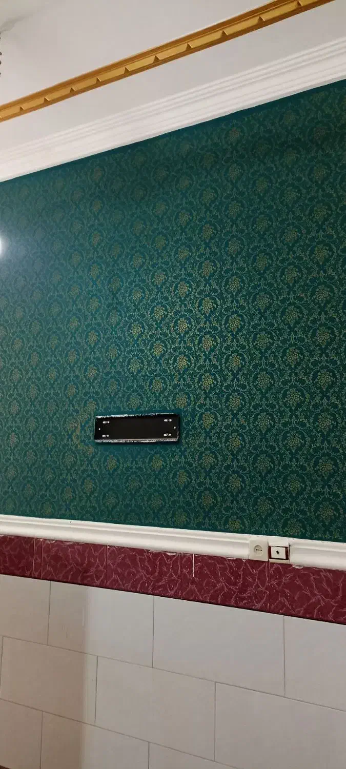 نقاشی ساختمان طرح کاغذدیواری|خدمات پیشه و مهارت|لنگرود, |دیوار