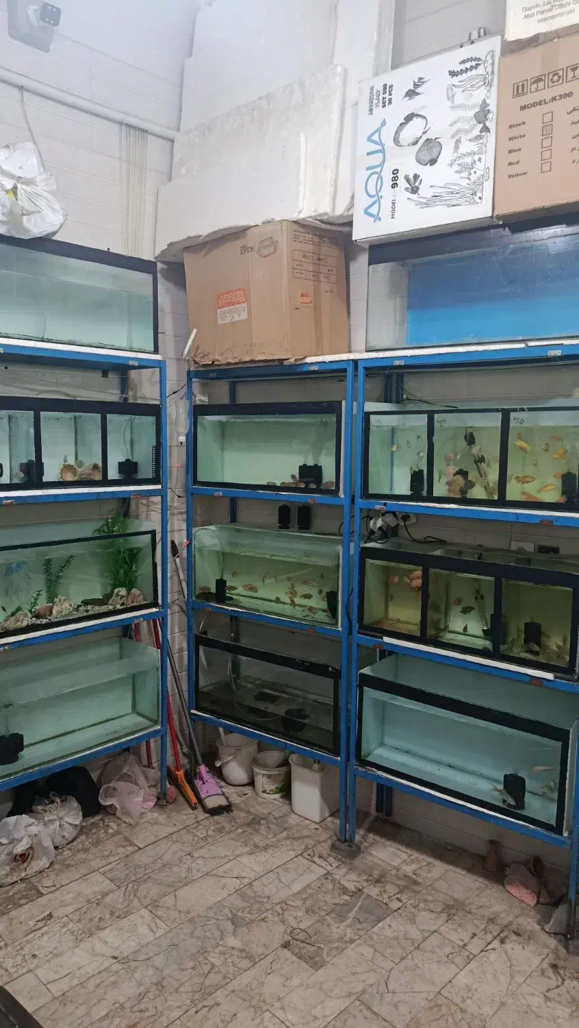 پایه و آکواریوم سه طبقه|ماهی|مشهد, اروند|دیوار