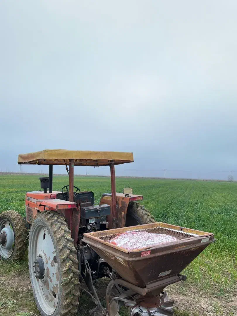 زمین کشاورزی|اجارهٔ دفتر صنعتی، کشاورزی، تجاری|اسلام آباد, |دیوار