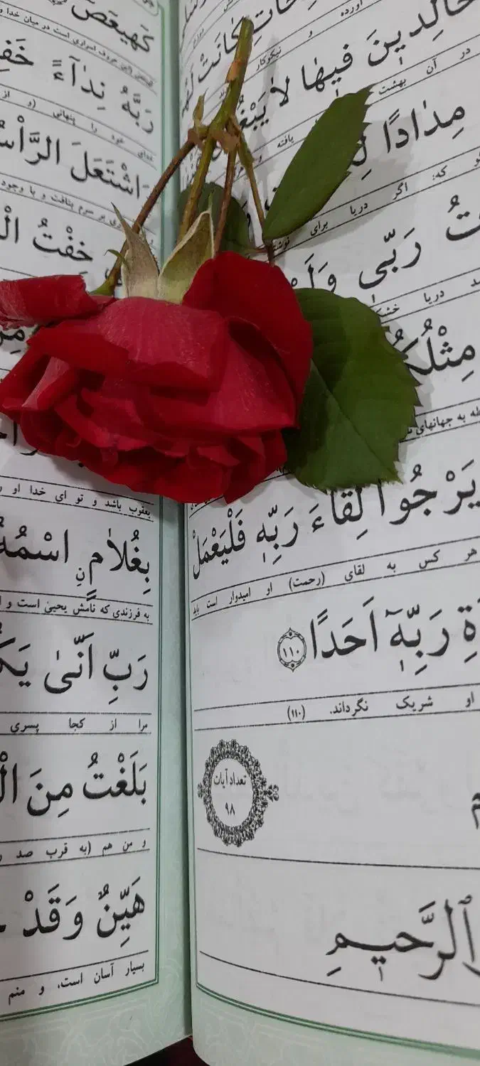 ختم قرآن|فعالیت داوطلبانه|مراغه, |دیوار
