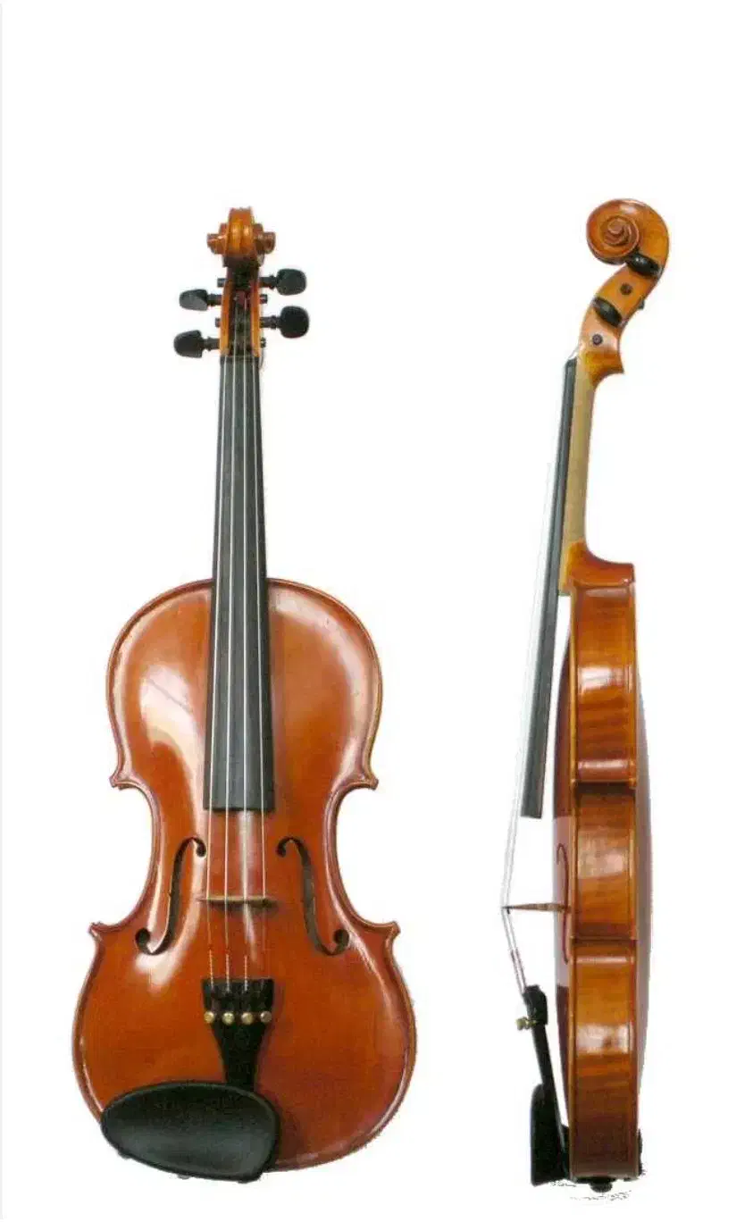 ویالون|ویولن|شیراز, شهرک فرهنگیان|دیوار