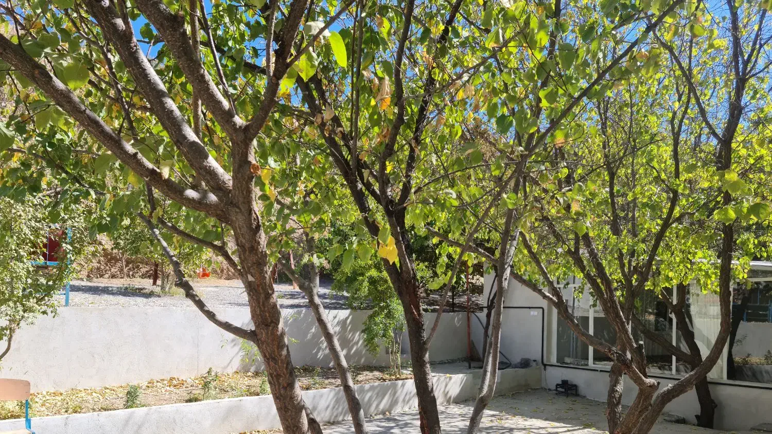 خانه باغ دو خابه|اجارهٔ کوتاهمدت ویلا و باغ|ایلام, |دیوار