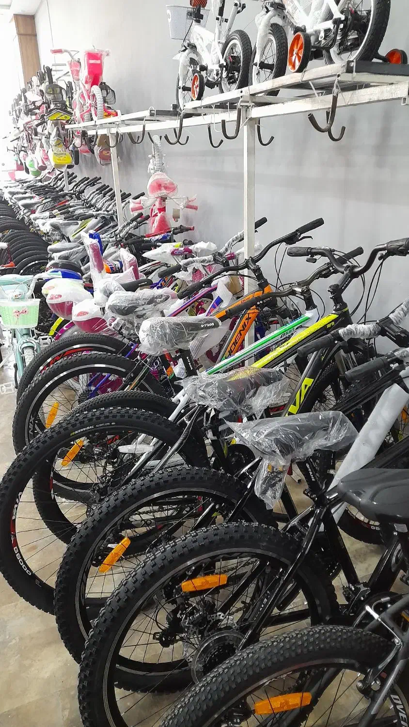 فروش دوچرخه هااز سایز۱۲ تا ۲۹|دوچرخه، اسکیت، اسکوتر|آستانه اشرفیه, |دیوار