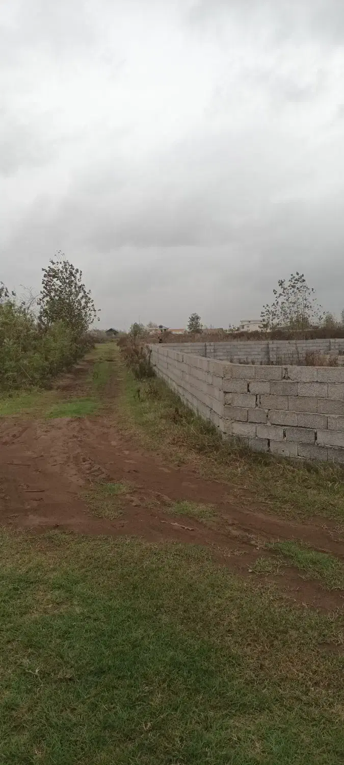 زمین فروشی|فروش زمین و ملک کلنگی|رودبنه, |دیوار