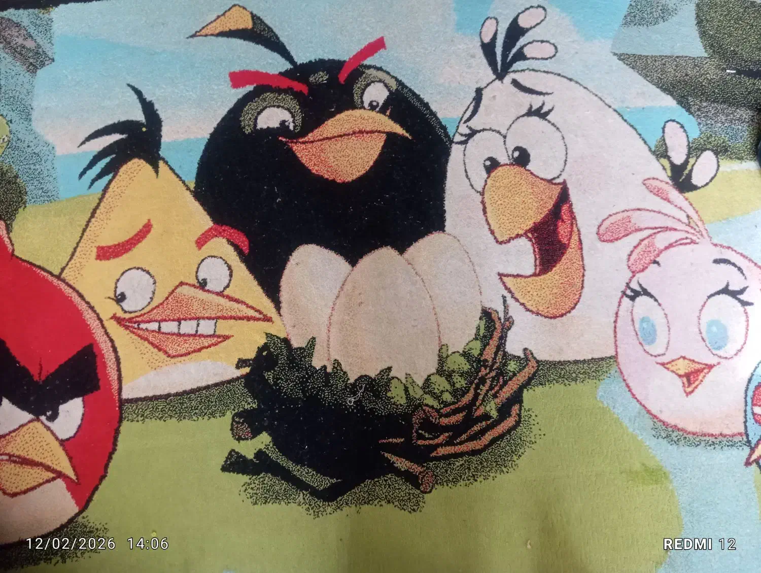 فرش ۶ متری|فرش|پردیس, فاز ۱|دیوار