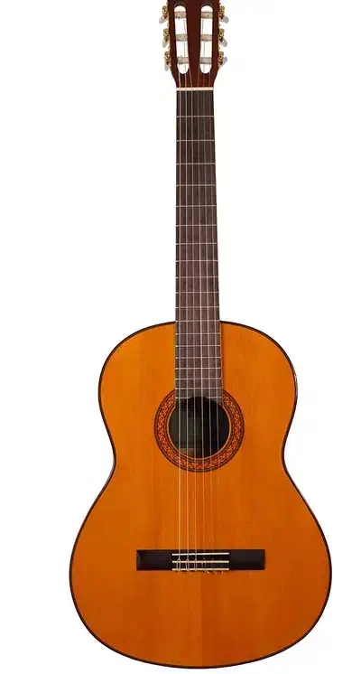 گیتار نو، خریده شده و یکبار هم استفاده نشده|گیتار، بیس، امپلیفایر|میبد, |دیوار