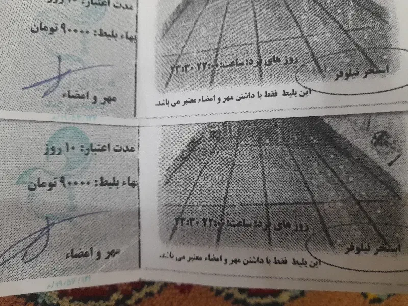 بلیط استخر نیلوفر(نصف قیمت)|بلیت مسابقهها و مکانهای ورزشی|بیرجند, |دیوار